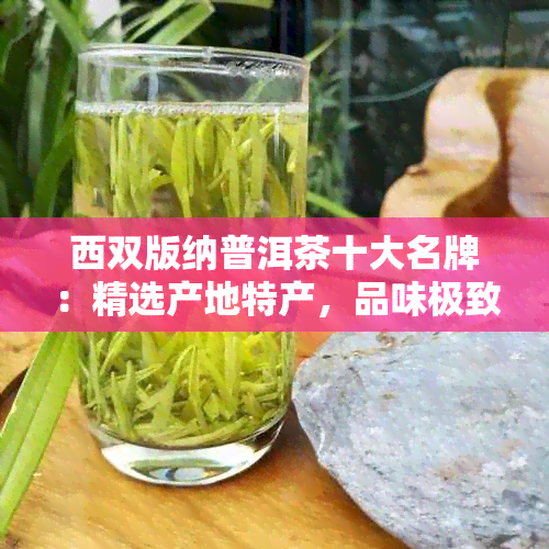 西双版纳普洱茶十大名牌：精选产地特产，品味极致醇厚！