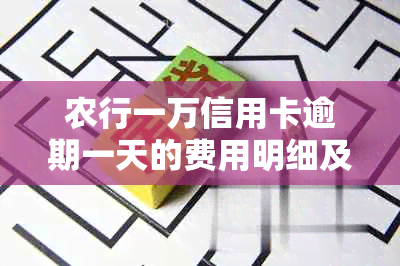 农行一万信用卡逾期一天的费用明细及解决方法，了解为何被扣除500多元？