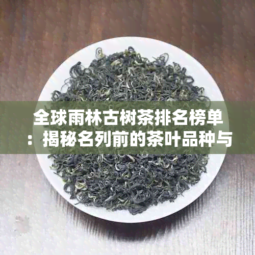 全球雨林古树茶排名榜单：揭秘名列前的茶叶品种与产地