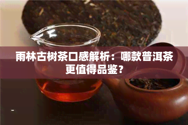 雨林古树茶口感解析：哪款普洱茶更值得品鉴？