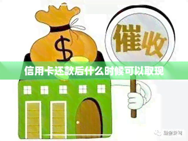 信用卡还款后什么时候可以取现