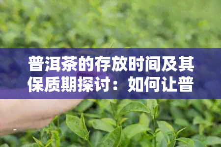 普洱茶的存放时间及其保质期探讨：如何让普洱茶叶保持品质？