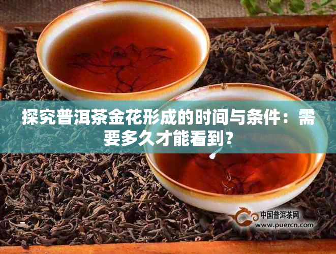 探究普洱茶金花形成的时间与条件：需要多久才能看到？