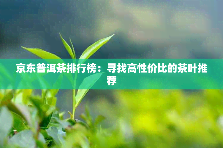 京东普洱茶排行榜：寻找高性价比的茶叶推荐