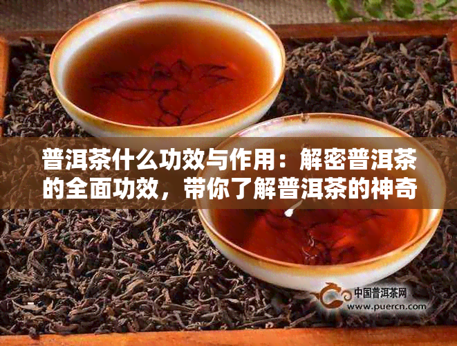 普洱茶什么功效与作用：解密普洱茶的全面功效，带你了解普洱茶的神奇之处