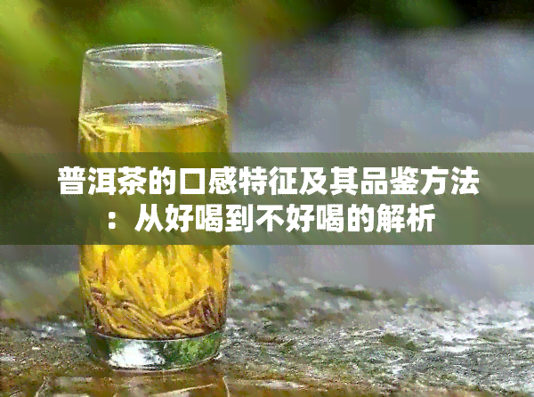 普洱茶的口感特征及其品鉴方法：从好喝到不好喝的解析