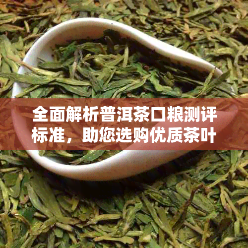 全面解析普洱茶口粮测评标准，助您选购优质茶叶的必备指南