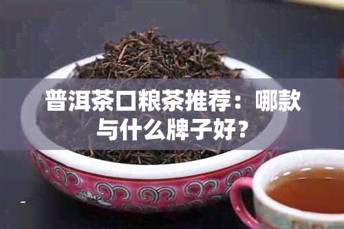 普洱茶口粮茶推荐：哪款与什么牌子好？