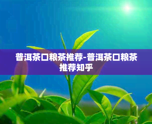 普洱茶口粮茶推荐-普洱茶口粮茶推荐知乎