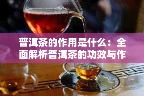 普洱茶的作用是什么：全面解析普洱茶的功效与作用