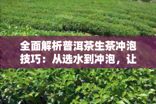 全面解析普洱茶生茶冲泡技巧：从选水到冲泡，让你品尝到完美的普洱生茶