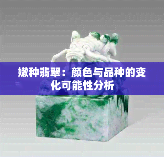 嫩种翡翠：颜色与品种的变化可能性分析