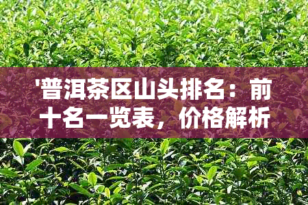 '普洱茶区山头排名：前十名一览表，价格解析'