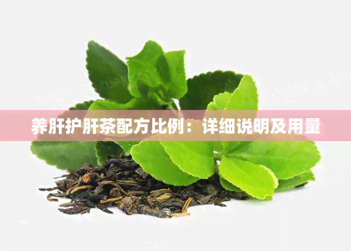 养肝护肝茶配方比例：详细说明及用量