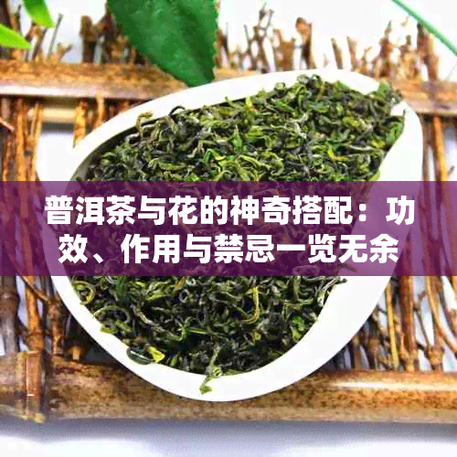 普洱茶与花的神奇搭配：功效、作用与禁忌一览无余