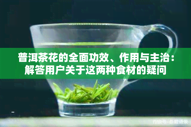 普洱茶花的全面功效、作用与主治：解答用户关于这两种食材的疑问