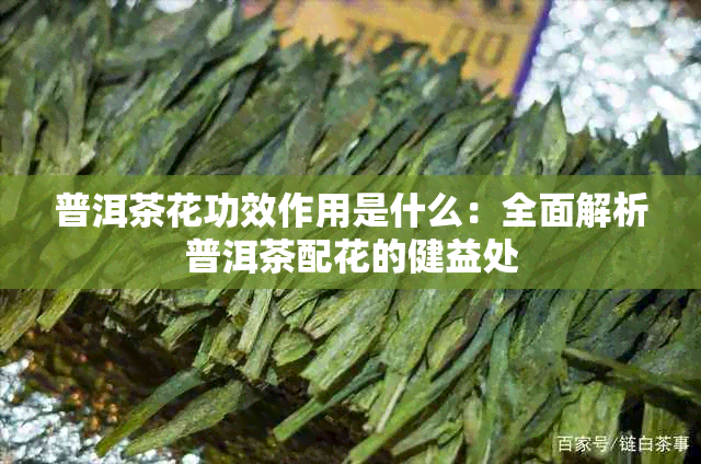 普洱茶花功效作用是什么：全面解析普洱茶配花的健益处