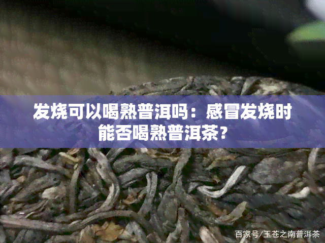 发烧可以喝熟普洱吗：感冒发烧时能否喝熟普洱茶？