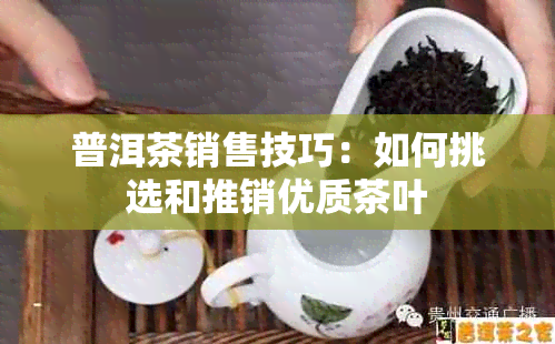 普洱茶销售技巧：如何挑选和推销优质茶叶