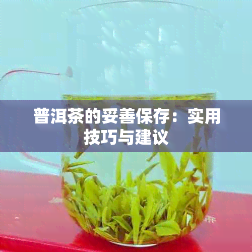 普洱茶的妥善保存：实用技巧与建议