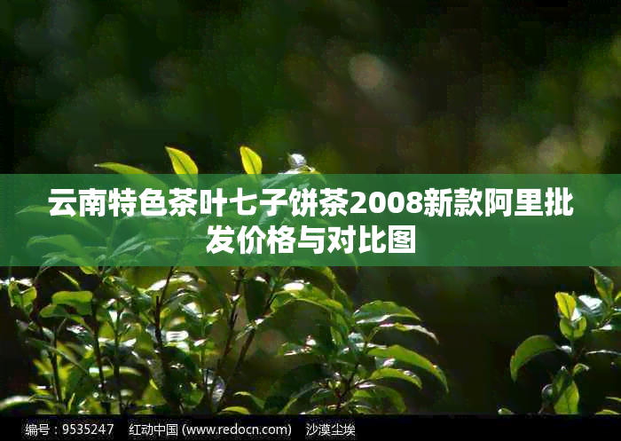 云南特色茶叶七子饼茶2008新款阿里批发价格与对比图