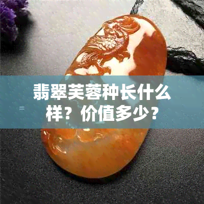 翡翠芙蓉种长什么样？价值多少？