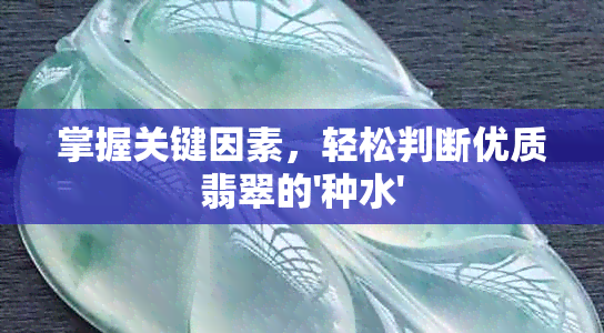 掌握关键因素，轻松判断优质翡翠的'种水'