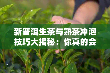 新普洱生茶与熟茶冲泡技巧大揭秘：你真的会泡吗？