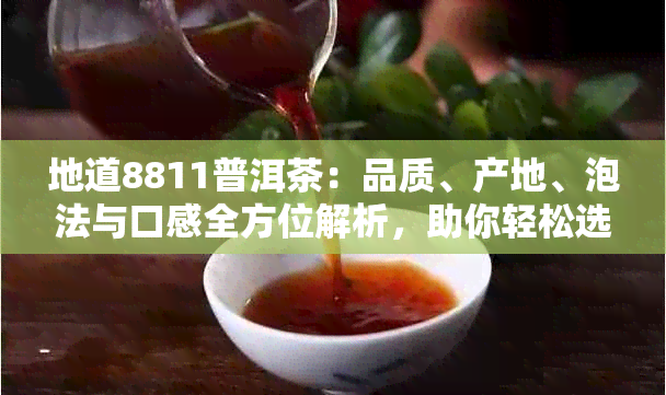 地道8811普洱茶：品质、产地、泡法与口感全方位解析，助你轻松选对好茶