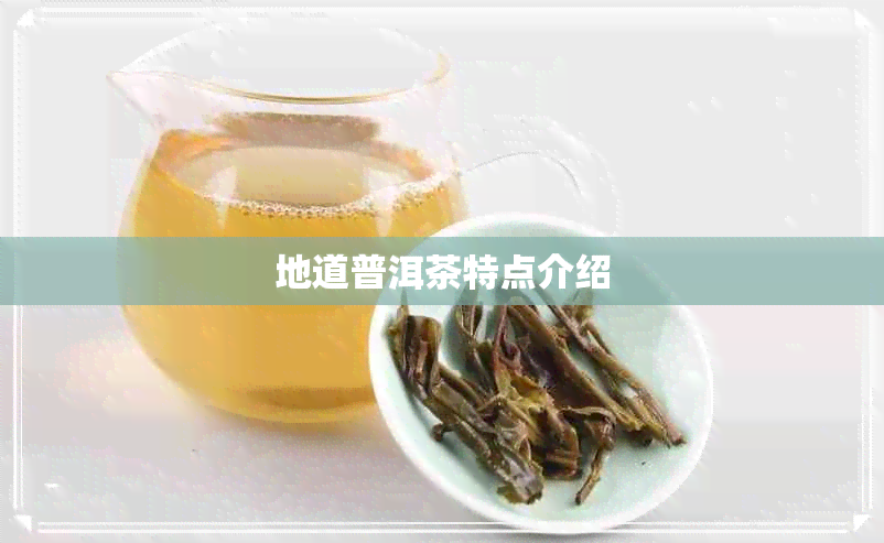 地道普洱茶特点介绍