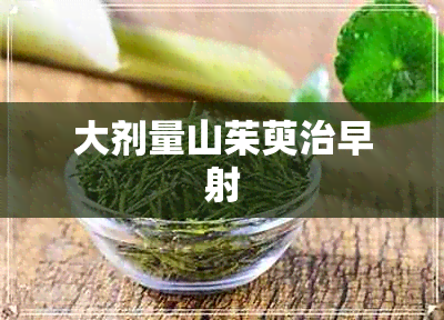 大剂量山茱萸治早射