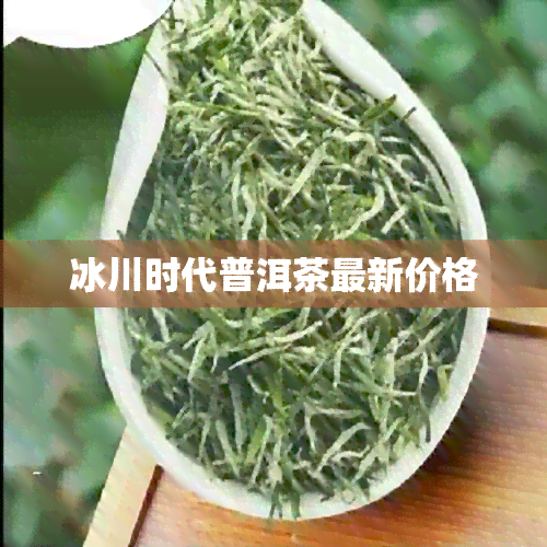 冰川时代普洱茶最新价格