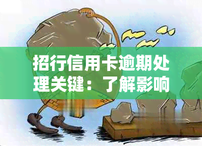 招行信用卡逾期处理关键：了解影响与解决方案