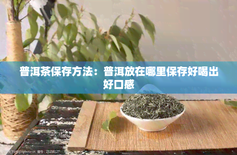 普洱茶保存方法：普洱放在哪里保存好喝出好口感