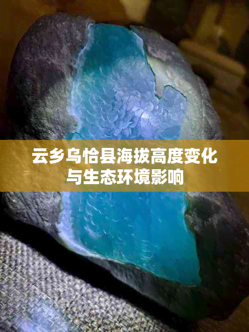 云乡乌恰县海拔高度变化与生态环境影响