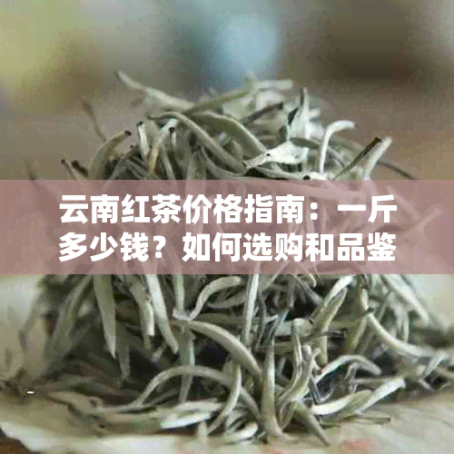 云南红茶价格指南：一斤多少钱？如何选购和品鉴红茶？