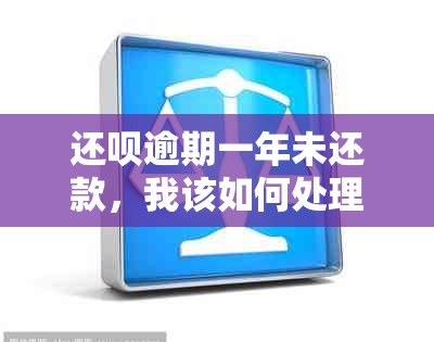 还呗逾期一年未还款，我该如何处理？是否会对我信用产生严重影响？