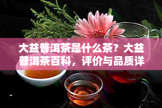 大益普洱茶是什么茶？大益普洱茶百科，评价与品质详解