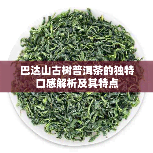 巴达山古树普洱茶的独特口感解析及其特点