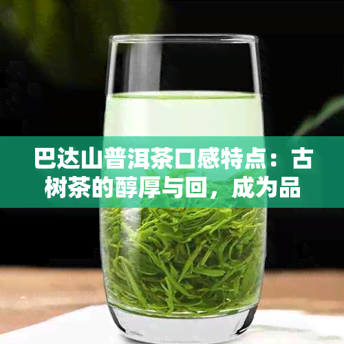 巴达山普洱茶口感特点：古树茶的醇厚与回，成为品茗者的更爱。