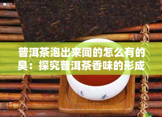 普洱茶泡出来闻的怎么有的臭：探究普洱茶香味的形成与差异