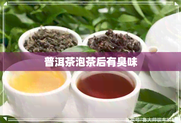 普洱茶泡茶后有臭味