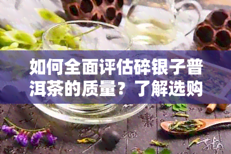 如何全面评估碎银子普洱茶的质量？了解选购过程中的关键因素和技巧