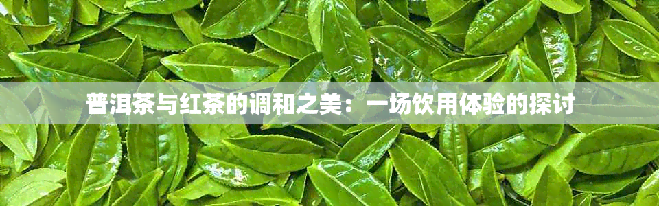 普洱茶与红茶的调和之美：一场饮用体验的探讨