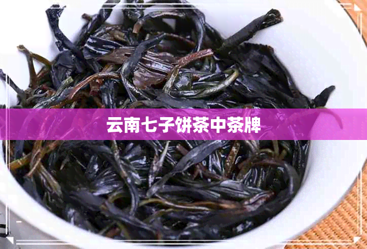 云南七子饼茶中茶牌