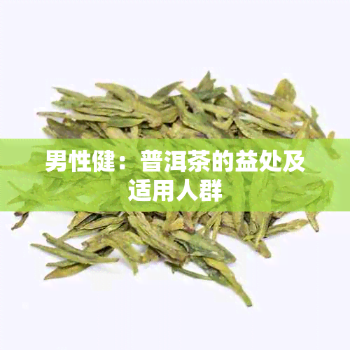 男性健：普洱茶的益处及适用人群