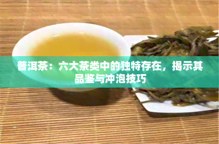 普洱茶：六大茶类中的独特存在，揭示其品鉴与冲泡技巧