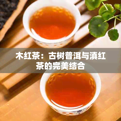 木红茶：古树普洱与滇红茶的完美结合