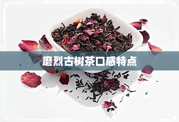 磨烈古树茶口感特点