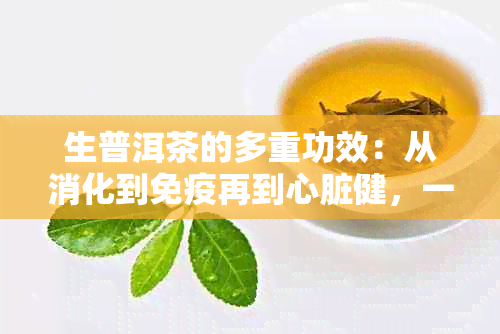 生普洱茶的多重功效：从消化到免疫再到心脏健，一文解析！